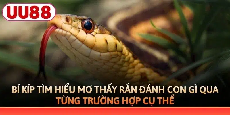 Bí kíp tìm hiểu mơ thấy rắn đánh con gì qua từng trường hợp cụ thể