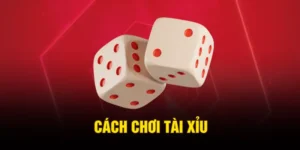 Cách Chơi Tài Xỉu - Nắm Rõ Phương Thức Hoạt Động Trong 60s