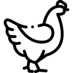 icon đá gà uu88