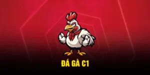 Đá Gà C1 – Đấu Trường Hội Tụ Những Siêu Chiến Kê UU88