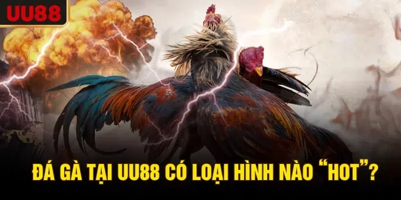 Đá gà UU88 có loại hình nào “hot”?