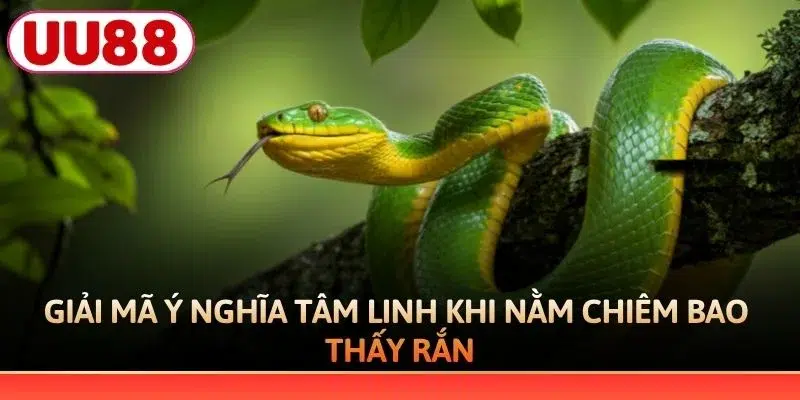 Giải mã ý nghĩa tâm linh khi nằm chiêm bao thấy rắn