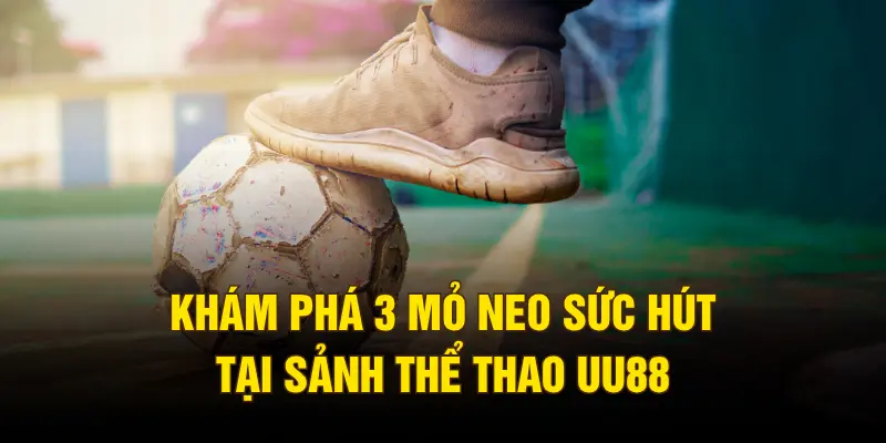 Khám phá 3 mỏ neo sức hút tại sảnh thể thao UU88