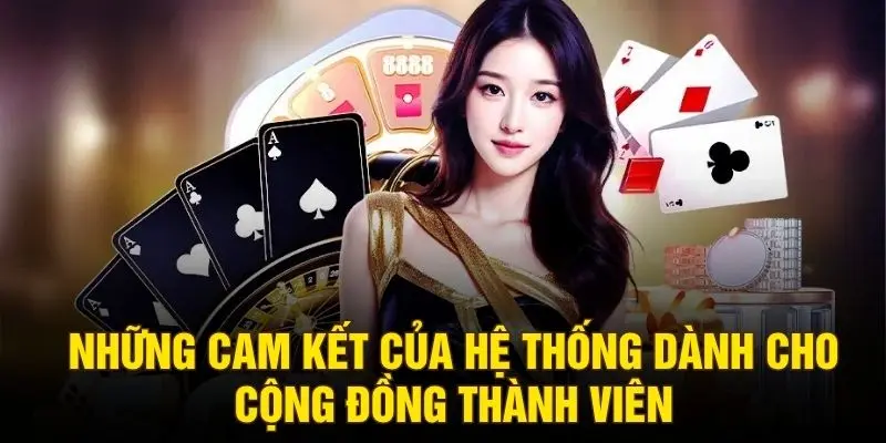 Những cam kết của hệ thống dành cho cộng đồng thành viên
