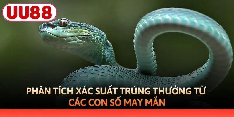 Xác suất trúng thưởng từ các con số may mắn